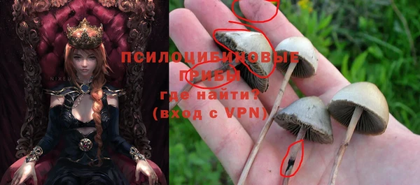 гашик Новокубанск